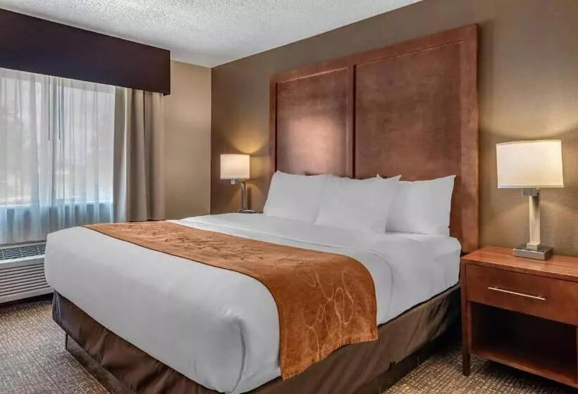Sviitti Liikuntarajoitteisille, Comfort Suites Terre Haute University Area