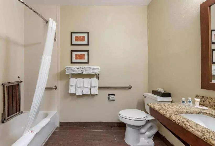Sviitti Liikuntarajoitteisille, Comfort Suites Terre Haute University Area