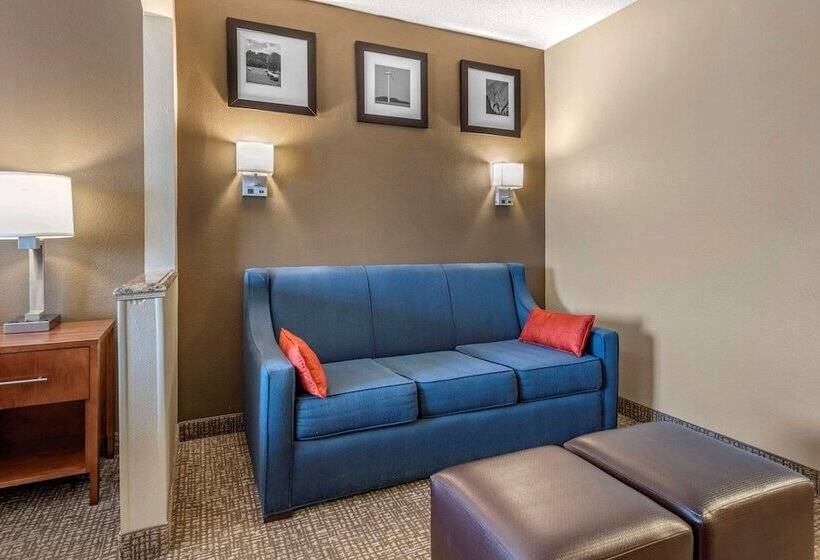 스위트, Comfort Suites Terre Haute University Area