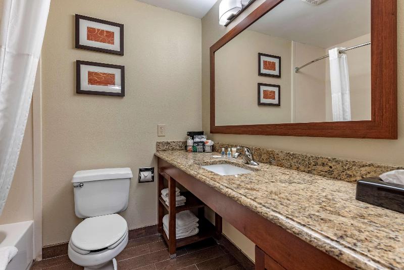 스위트 킹사이즈 침대, Comfort Suites Terre Haute University Area