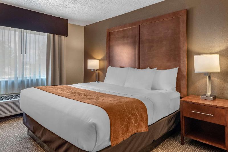 Suite Łóżko King Size, Comfort Suites Terre Haute University Area