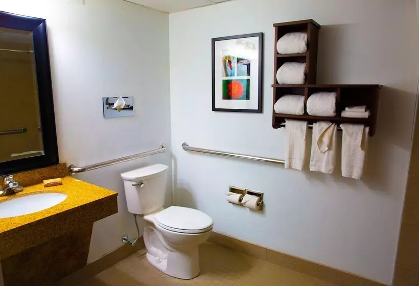 身障者適用スイートルーム, Country Inn & Suites By Radisson, Burlington Elon , Nc