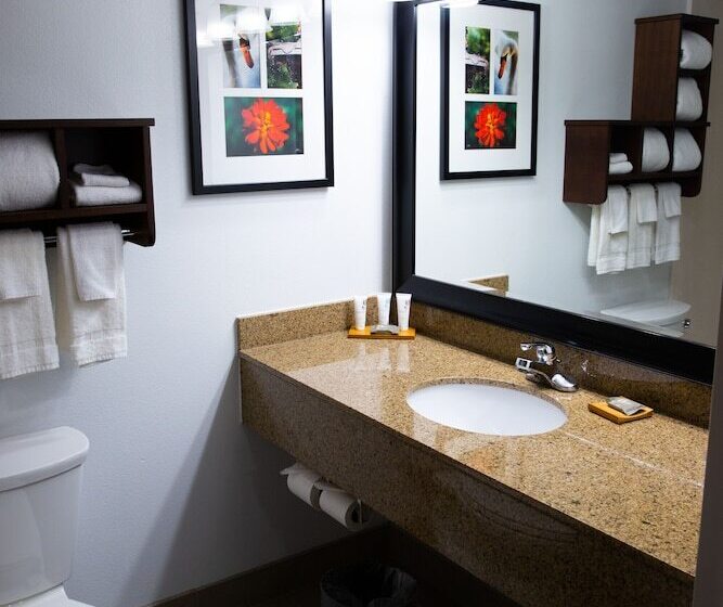 Люкс Адаптированный для Инвалидов, Country Inn & Suites By Radisson, Burlington Elon , Nc