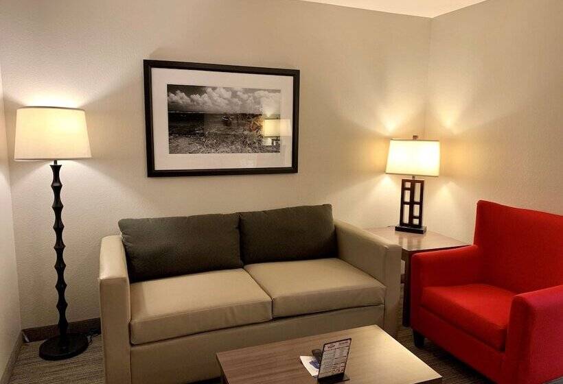 جناح لذوى الاحتياجات الخاصة, Country Inn & Suites By Radisson Kenosha   Pleasant Prairie