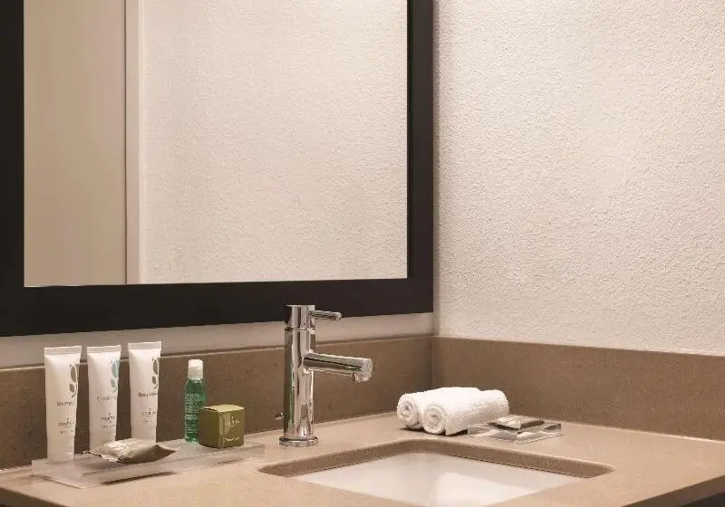 Standard Room King Size Bed