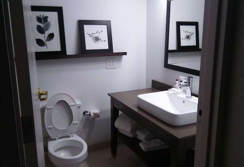Люкс, Country Inn & Suites By Radisson, Roanoke, Va