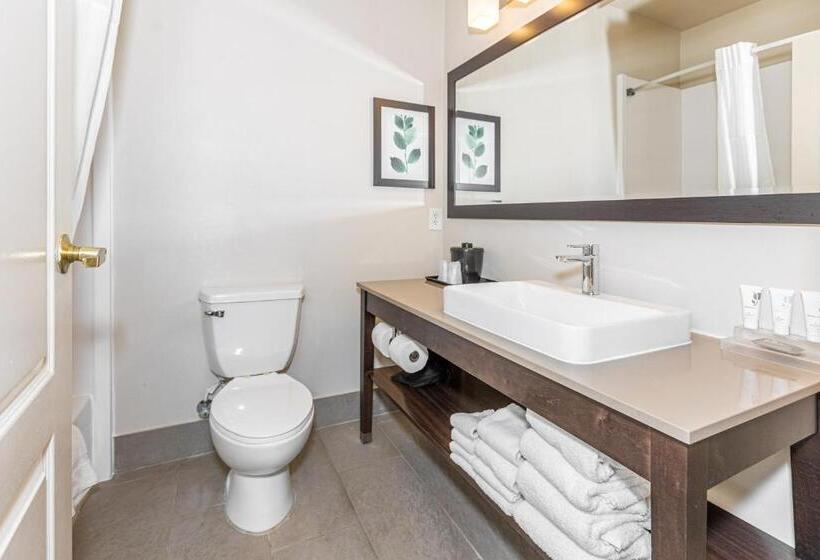 带大床的套房, Country Inn & Suites By Radisson, Smyrna, Ga
