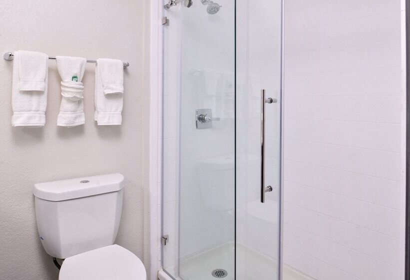 Люкс Вид на Город, Holiday Inn & Suites Dallas Addison By Ihg