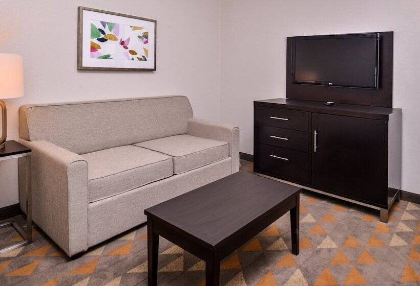 مجموعه ویستا شهر, Holiday Inn & Suites Dallas Addison By Ihg