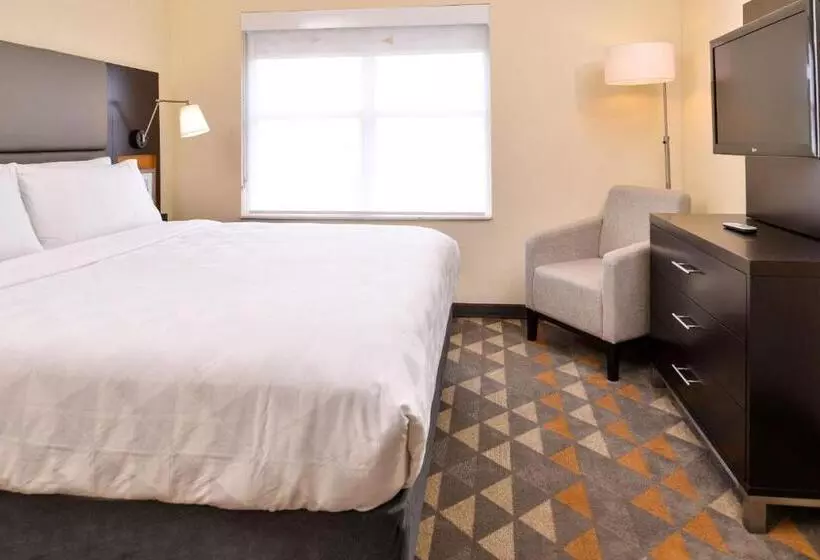 キングサイズベッドのスタンダードルーム, Holiday Inn & Suites Dallas Addison By Ihg