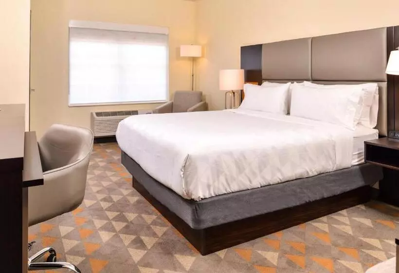 キングサイズベッドのスタンダードルーム, Holiday Inn & Suites Dallas Addison By Ihg