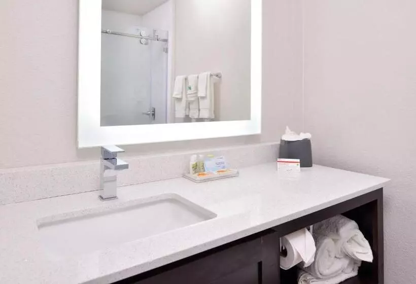 スタンダードルーム, Holiday Inn & Suites Dallas Addison By Ihg