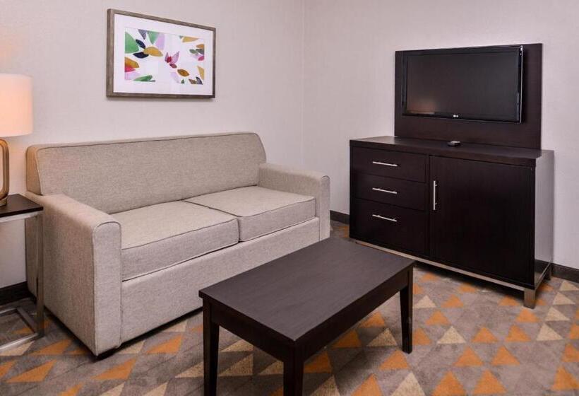 سوئیت با تخت بزرگ, Holiday Inn & Suites Dallas Addison By Ihg