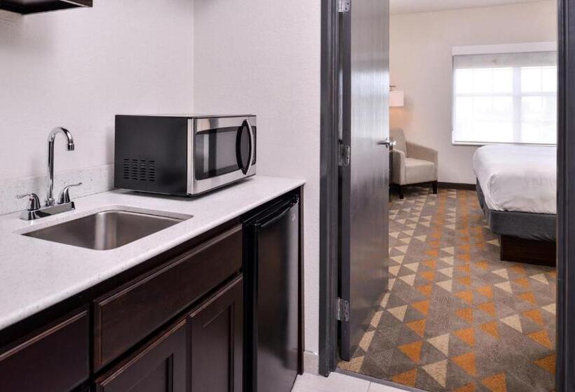 Suíte Cama King, Holiday Inn & Suites Dallas Addison By Ihg