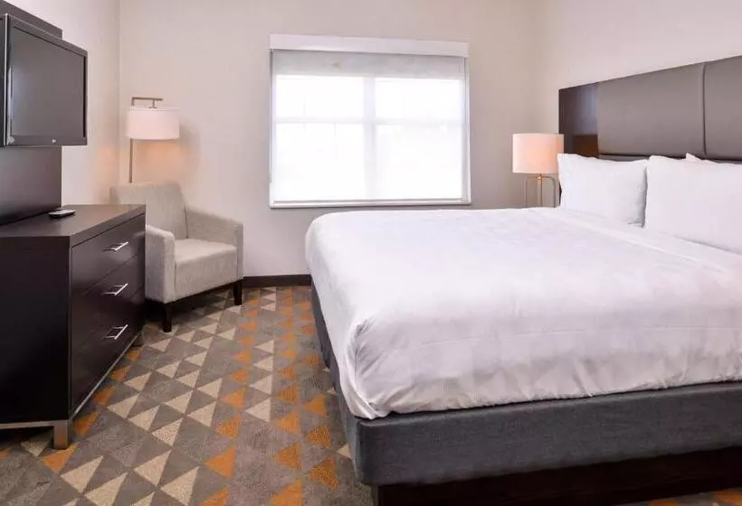 キングサイズベッドのスイートルーム, Holiday Inn & Suites Dallas Addison By Ihg
