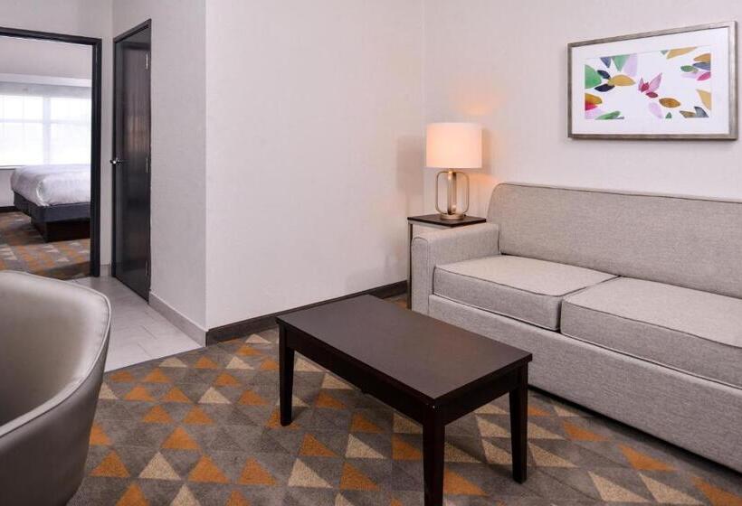 Suíte Cama King, Holiday Inn & Suites Dallas Addison By Ihg