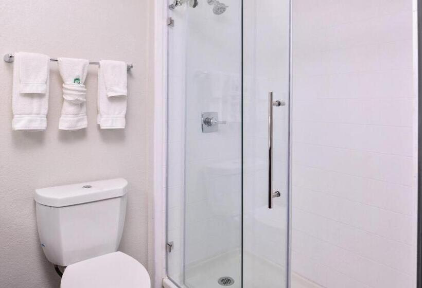 Люкс Кровать Кинг, Holiday Inn & Suites Dallas Addison By Ihg