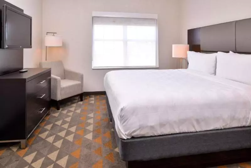 身障者適用キングサイズベッドルーム, Holiday Inn & Suites Dallas Addison By Ihg