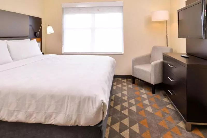 身障者適用キングサイズベッドルーム, Holiday Inn & Suites Dallas Addison By Ihg
