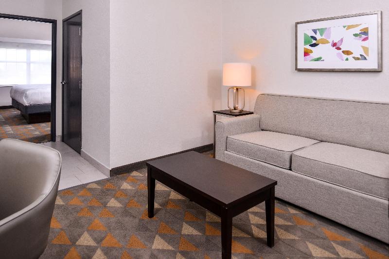 سوئیت با تخت بزرگ, Holiday Inn & Suites Dallas Addison By Ihg