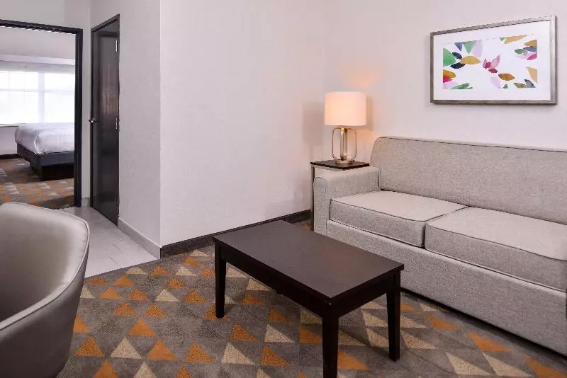 キングサイズベッドのスイートルーム, Holiday Inn & Suites Dallas Addison By Ihg