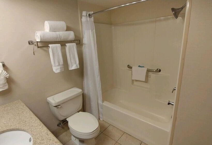 غرفة قياسية, Holiday Inn Express Scottsdale North, An Ihg