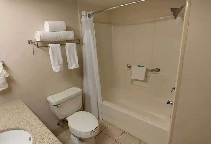 スタンダードルーム, Holiday Inn Express Scottsdale North, An Ihg