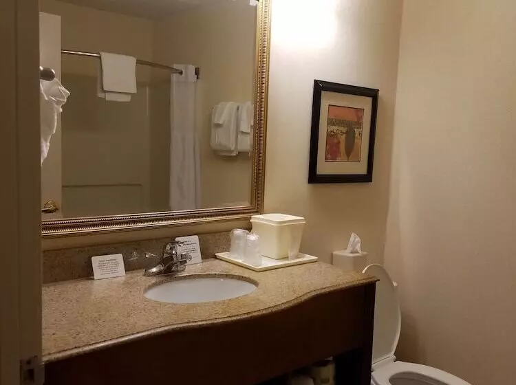 سوییت, Quality Suites Paducah I 24