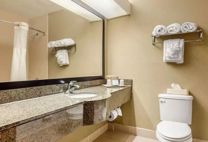 スイート, Quality Suites Sherman