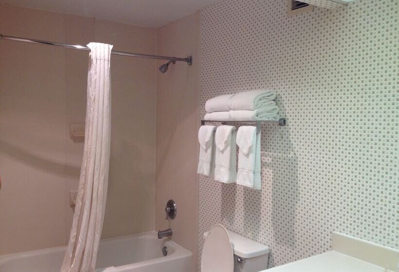 Люкс, Red Roof Inn & Suites Albany, Ga