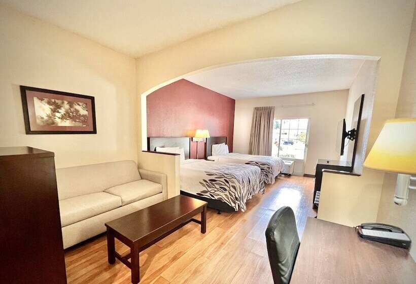 Люкс, Red Roof Inn & Suites Albany, Ga