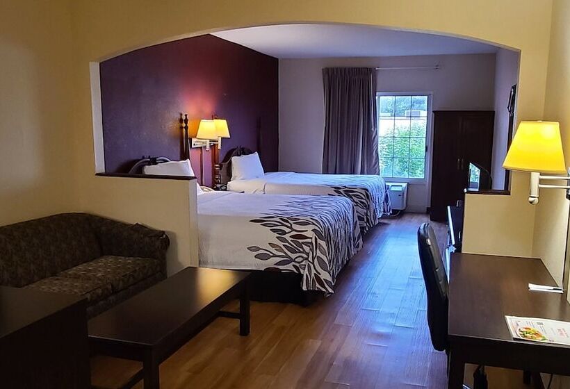 Люкс, Red Roof Inn & Suites Albany, Ga