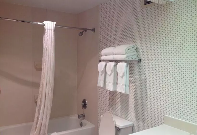 اتاق سوپریور, Red Roof Inn & Suites Albany, Ga