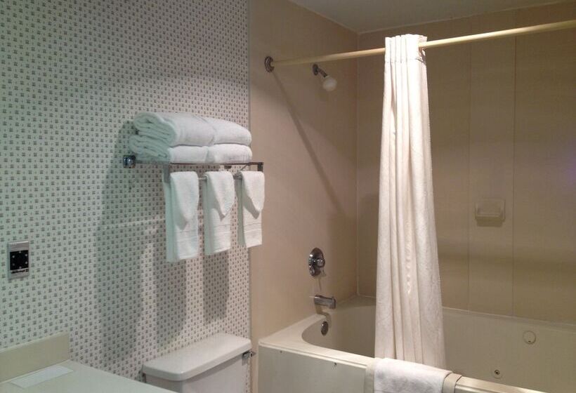 Люкс, Red Roof Inn & Suites Albany, Ga