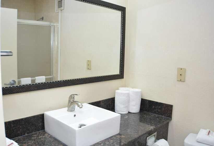 Camera Deluxe, Red Roof Inn Plus+ & Suites Chattanooga   Downtown