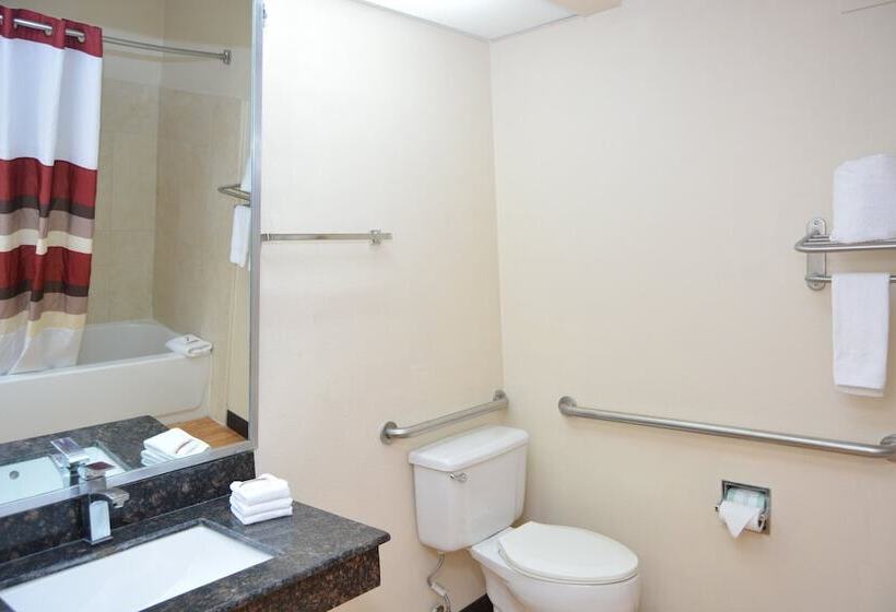 Номер Deluxe, Red Roof Inn Plus+ & Suites Chattanooga   Downtown