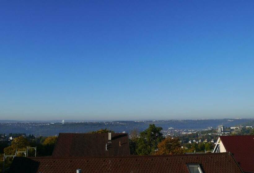 اتاق استاندارد یک نفره, Am Berg Esslingen