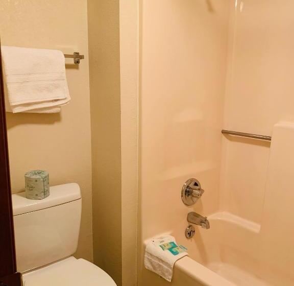 Chambre Standard Lit King Size, Landmark Inn