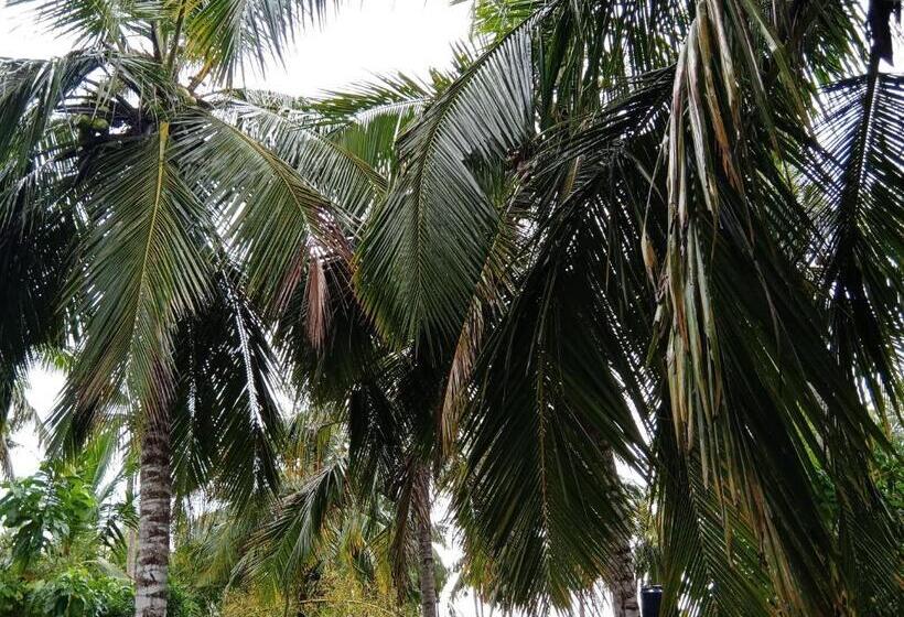 اتاق لوکس با بالکن و چشم‌انداز دریا, Kolition Villa