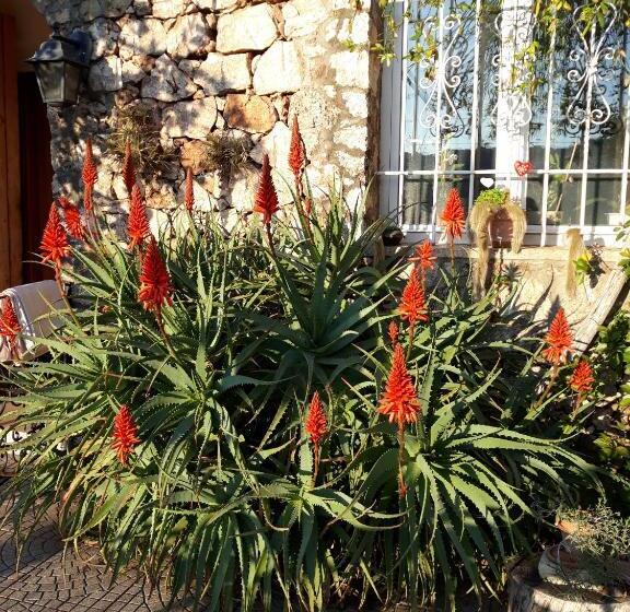 3-Bett-Standardzimmer, B&b Sopra Il Borgo