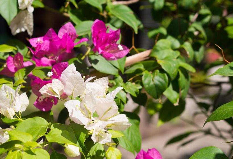 스탠다드 룸, Villa Bluemoon