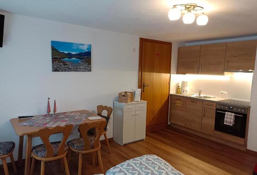 آپارتمان 1 خوابه با چشمانداز, Burgerhof