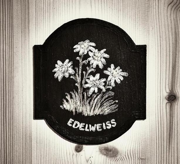 Superiorrum med Balkong, Berghaus Alpenrösli