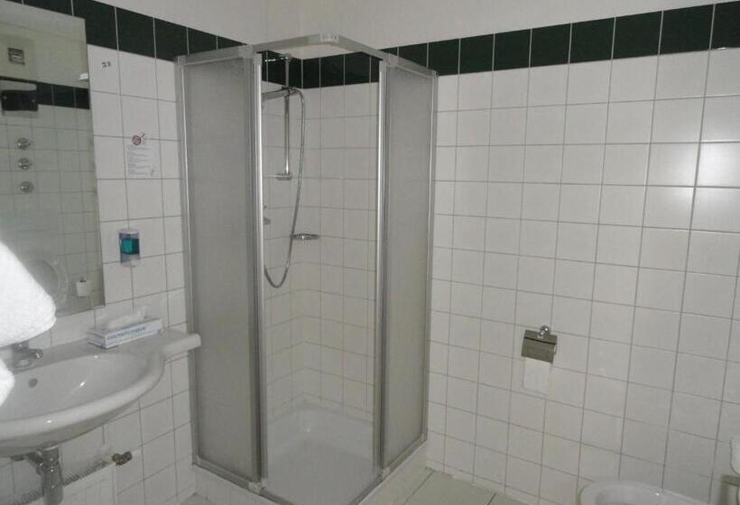 חדר סטנדרט יחיד, Ennstalerhof