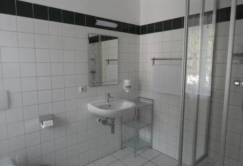 חדר סטנדרט יחיד, Ennstalerhof