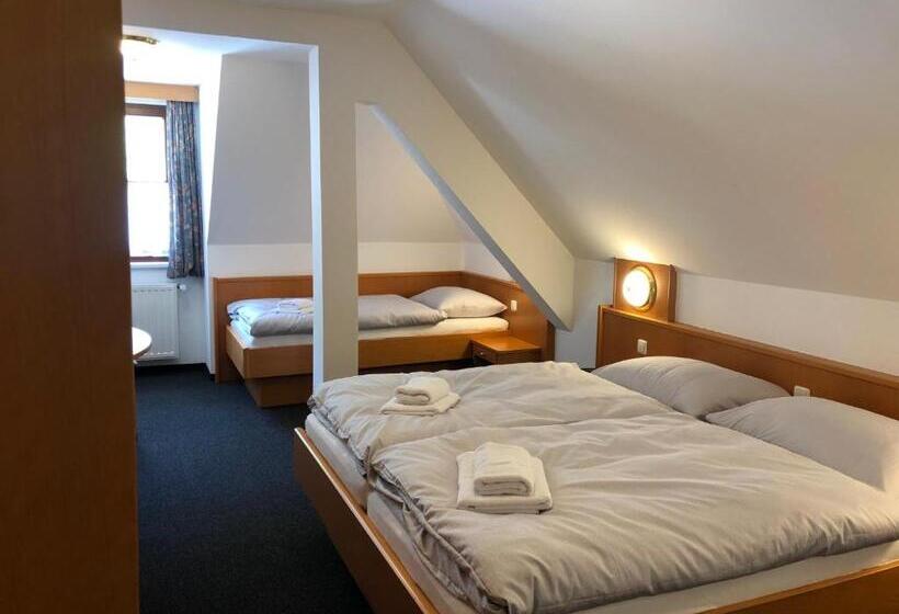 חדר סטנדרט לשלושה, Ennstalerhof