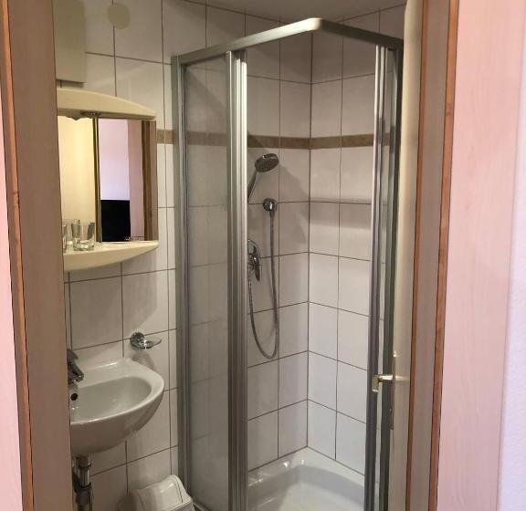 스탠다드 룸 산 전망, Gasthof Panorama