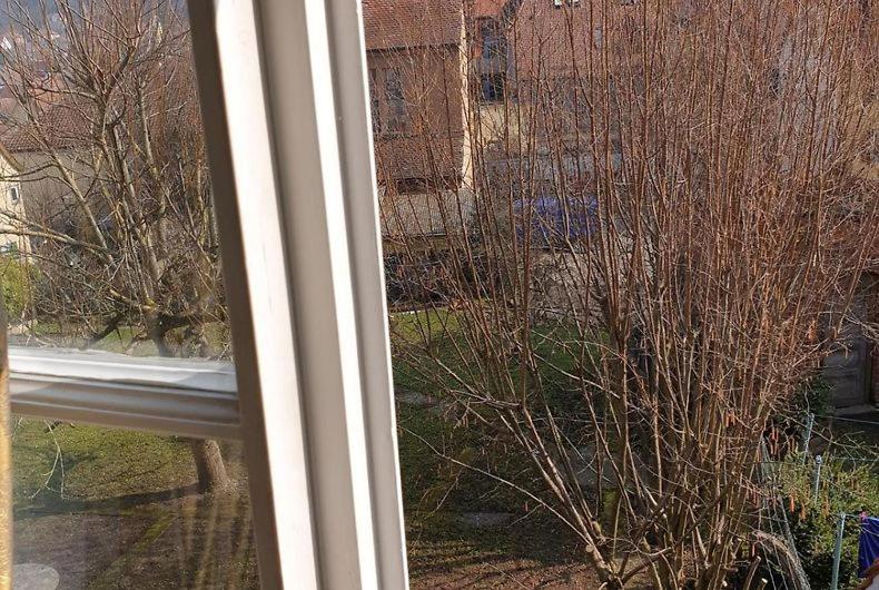 Quarto standart vista jardim, Gasthof Blauer Bock