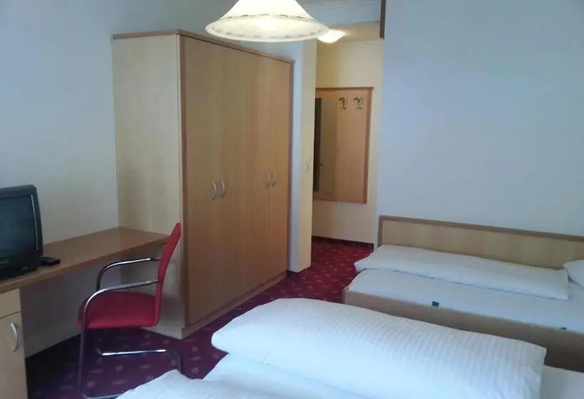 اتاق استاندارد سه نفره, Pension Rieder