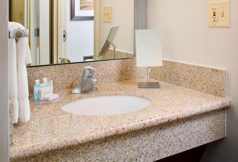 اتاق استاندارد با تخت بزرگ, Courtyard By Marriott Richmond Airport